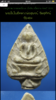 IMG_8150.png