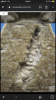 IMG_8151.png
