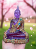 Photo_1752150837312.png