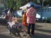 IMG_20250710_073039.jpg