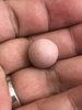 IMG_8272.jpeg