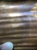 IMG_8365.jpeg