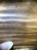 IMG_8366.jpeg