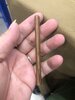 IMG_8402.jpeg