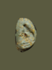 20250717_225031 (1).png
