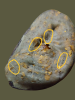 20250717_225031 (5).png