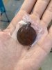 IMG_0674.jpeg