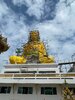 IMG_8001.jpeg