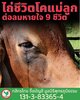 FB_IMG_1752917587216.jpg