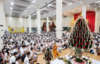 2B086E9F-89FE-407B-8E2E-6E10326CBF57.png
