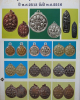 EB19F052-F1E3-497C-B589-A8CCDD5FE0F5.png