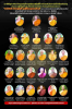 19D35541-5D75-44C5-A677-CCD83108A0F2.png