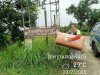 IMG_20250723_201841.jpg
