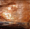 0C8E5D8F-6D2E-4938-A7EE-029A13CE1100.png