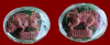 upload_2025-7-26_11-58-25.png