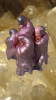Photo_1753758029719.png