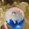Photo_1767849888316.png