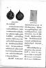 upload_2026-2-18_20-18-13.png