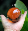 Photo_1776531179090.png