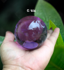 Photo_1776531175844.png