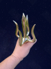 Photo_1776945303068.png