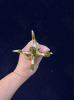 Photo_1776945304216.png