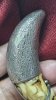 20260429_062125.jpg