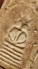 20260419_113444.jpg