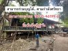 FB_IMG_1778172931190.jpg