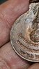 20260510_173649.jpg