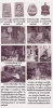 upload_2026-5-14_13-53-32.png