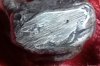 20260515_111519.jpg