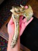 Photo_1779287633125.jpg
