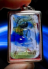 Photo_1779509389762.png