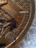 IMG_9970.jpeg