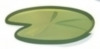 lotus-2.png