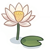 lotus-0.png