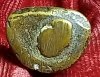 20260527_140941.jpg