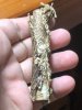 IMG_7076.jpeg