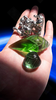 Photo_1781156483546.png