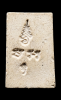 IMG_20260611_205946.png