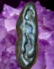 Photo_1781600191128.png