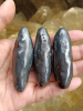 Photo_1781601107793.png