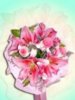 resize_id_08458_8.jpg