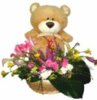 resize_id_08459_2.jpg