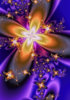 Jay_Jacobson_fractal_flower_power.jpg
