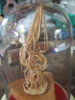 DSCF7305.jpg