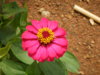 IMGP3467.JPG