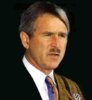 Bush%20Hitler%20lookalike-755397.jpg