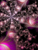 Jay_Jacobson_fractal_feather_star.jpg